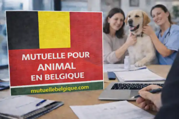 Chien allongé sur une table d’examen chez le vétérinaire avec sa maîtresse